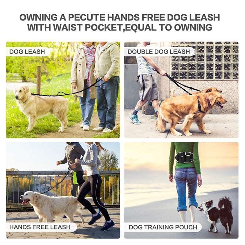 Waist leash hot sale training