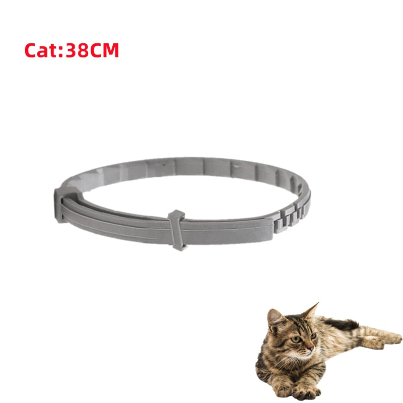 Flee Collar