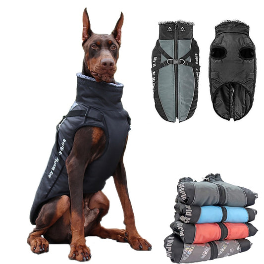 Large Dogs Waterproof Vest Australiandogbrokers.com.au