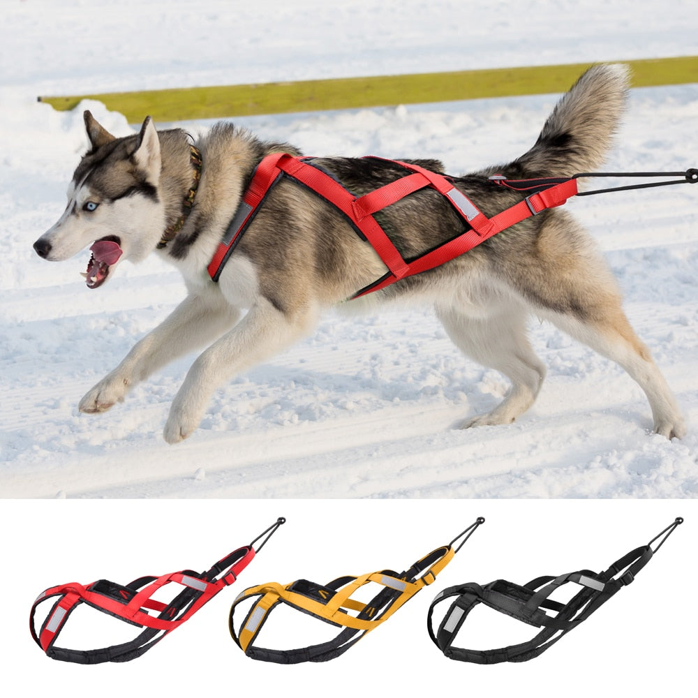 Waterproof Dog Sled Harness Australiandogbrokers.com.au