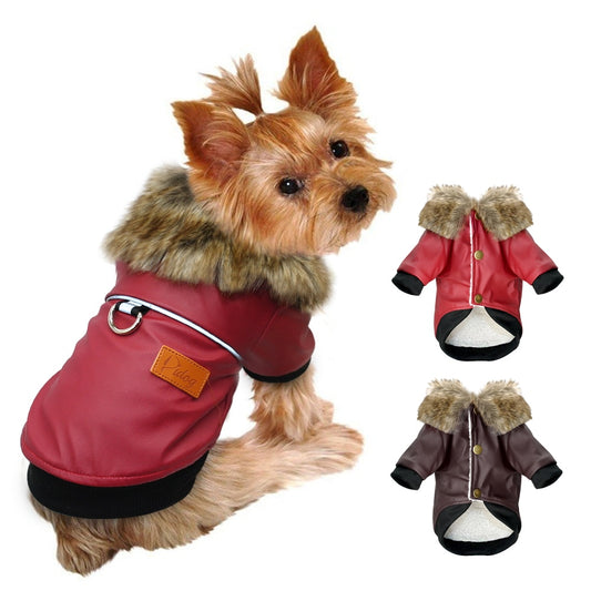 Winter Dog Coat Australiandogbrokers.com.au