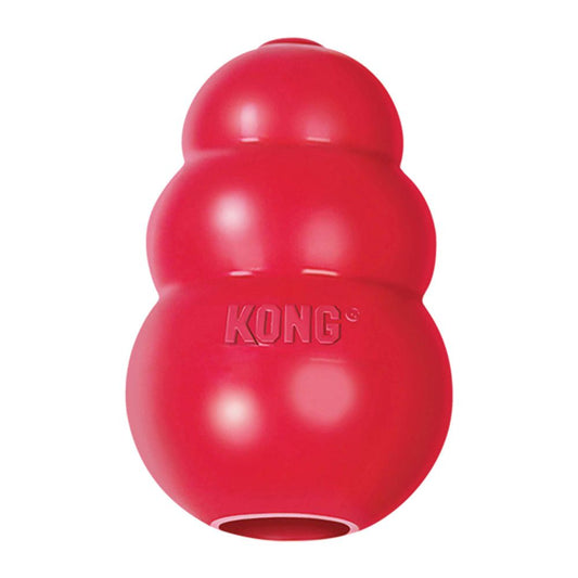 KONG Dog Chew Toy Australiandogbrokers.com.au