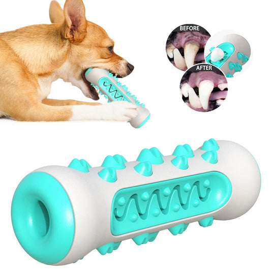 Dog Molar Toothbrush Toys Australiandogbrokers.com.au