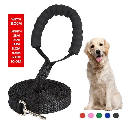 Long Dog Leash Australiandogbrokers.com.au