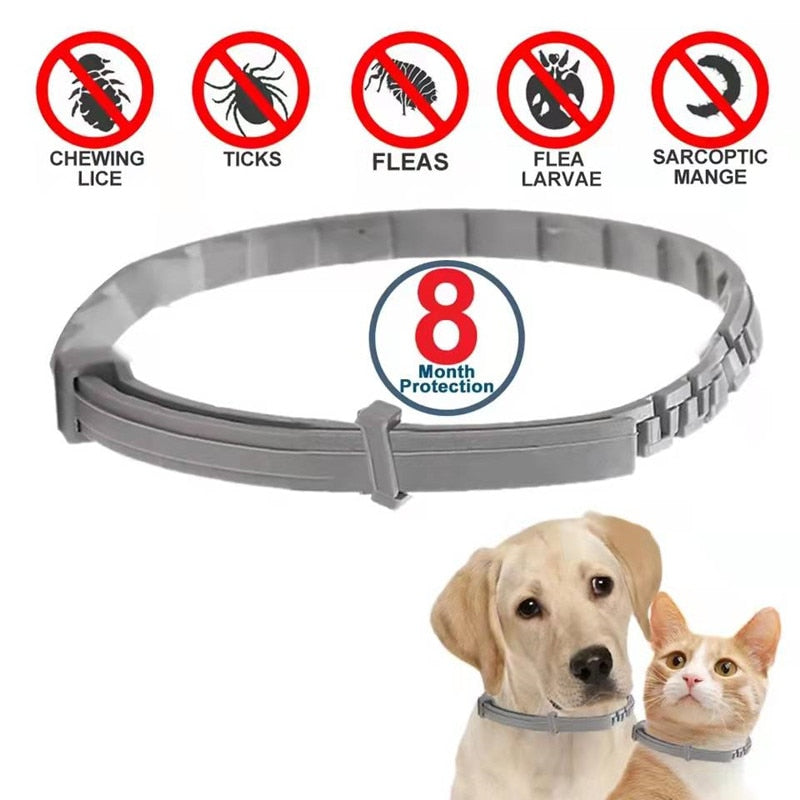 Flee Collar