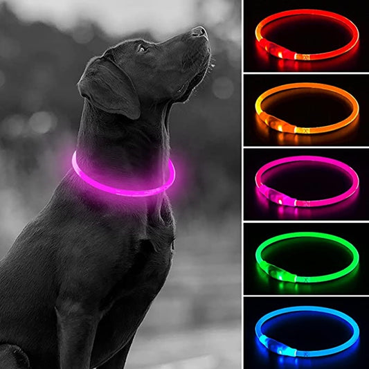 Led Dog Collar Australiandogbrokers.com.au